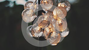 Christmas Garland lights in Glass ball lantern