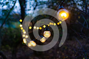 Christmas garland lights suspended in the garden. Retro style