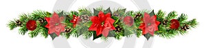 Christmas garland with red pionsettia flowers, pine twigs and de