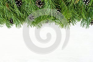 Christmas garland with undecorated pure green natural fir branch
