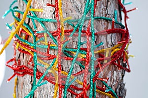 Christmas garlands on the tree. Multi-colored light bulbs. Wires. Christmas decoration.