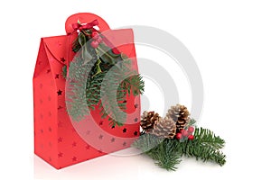 Christmas Gift Bag