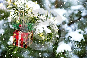 Christmas gift box on a branch of a natural spruce covered with snow. New year outdoor. Snowfall, garland lights, festive mood of