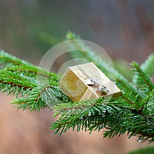 Christmas gift on the Christmas tree