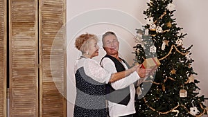 Christmas gift. Elderly man giving christmas gift to his smiling wife.