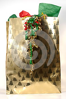 Christmas Giftbag