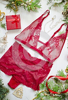 Christmas gilt for women. Red lace lingerie on the decorative Ne