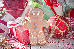 Christmas gingerbread cookies