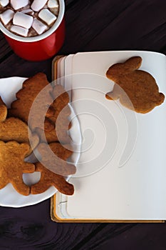 Christmas gingerbread cookies, hot chocolate