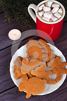 Christmas gingerbread cookies, hot chocolate