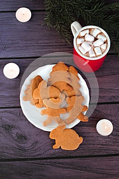 Christmas gingerbread cookies, hot chocolate