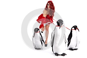 Christmas Girl in dress holding a large toy penquin.