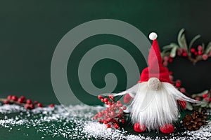 Christmas gnome in red hat with winter holly berry, pine and omela on dark green background