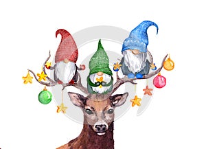 Christmas gnomes on deer horns with baubles and stars. Scandinavian dwarves and cute reindeer animal. Watercolor for photo