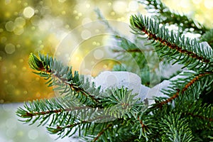 Christmas golden background with fir branches and glittering snowflakes