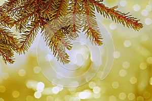 Christmas golden background with fir branches and glittering snowflakes