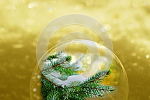 Christmas golden background with glittering snowflakes and fir branches in a ball