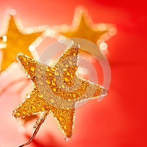 Christmas golden drops star in red