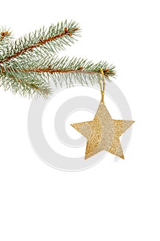 Christmas golden star