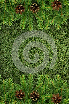 Christmas green framework