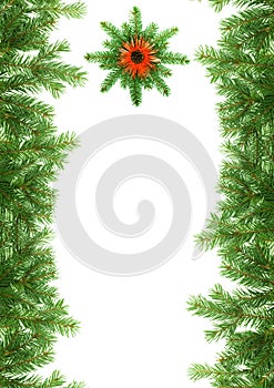 Christmas green framework