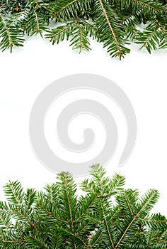 Christmas green framework with copy space isolated on white back