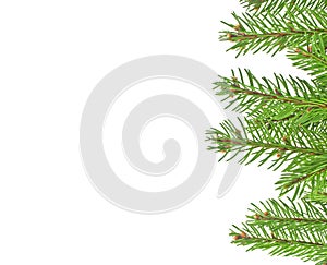 Christmas green framework isolated on white background