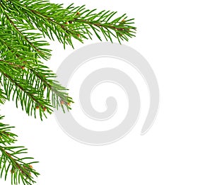 Christmas green framework isolated on white background