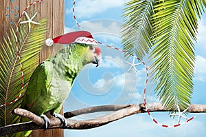 Christmas green parrot