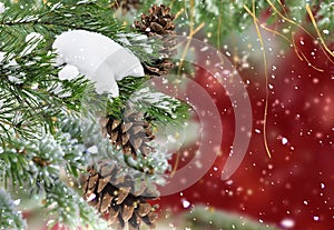 Christmas  green pine tree branch ,cone and red ball on  winter  festive snow flakes blurred  gold  confetti bakcground