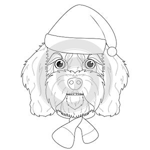 Christmas greeting card for coloring. Cavoodle dog with Santa`s hat and a woolen scarf for winter