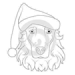 Christmas greeting card for coloring. Doberman dog with beard and Santa`s hat