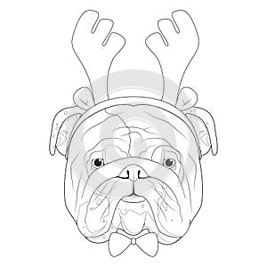 Christmas greeting card for coloring. English Bulldog dog with reindeer horns