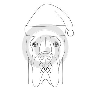 Christmas greeting card for coloring. Great Dane dog with Santa`s hat