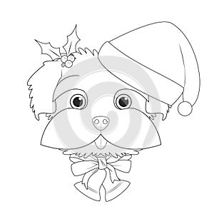 Christmas greeting card for coloring. Maltese dog with Santa`s hat and Christmas bells