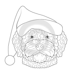 Christmas greeting card for coloring. Spanish Water dog with Santa`s hat