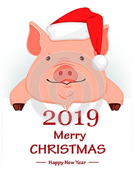 Christmas greeting card. Cute pig