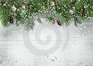 Christmas greeting card with fir branch, berry and cones
