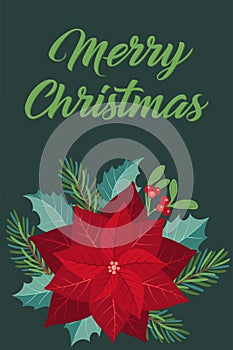 Christmas greeting card with fir tree, poinsettia and holly berry.