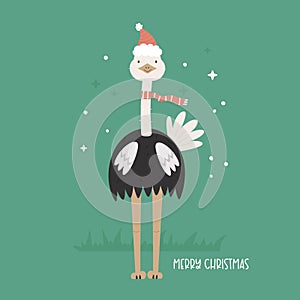 Christmas greeting card with a funny ostrich in a Santa hat