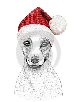 Christmas greeting card with happy winter jack russell terrier dog wearing in the knitted red cap