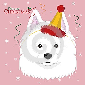 Samoyed dog wearing a party hat photo
