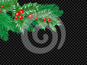 Christmas greeting card template background of holly leaf wreath and New Year fir or pine tree decoration. Vector Christmas tree o