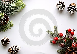 Christmas greeting card template with snow covered fir tree branches  cones and red shiny berries. White background