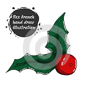 Christmas hand draw illustration of ilex in brights color