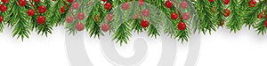 Christmas and Happy New Year decoration border with Christmas tree branches and holly berries on white background. Vector