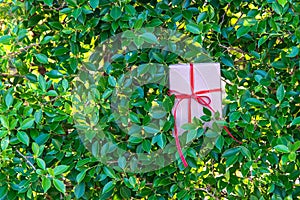Christmas and Happy New Year for Gift on the Green bush leaves wall background.
