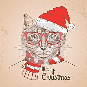Christmas Hipster fashion animal cat dressed a New Year hat