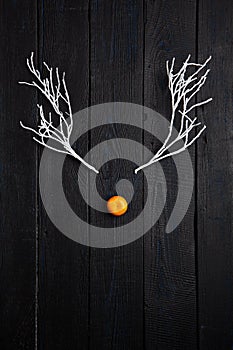 Christmas Holiday Concept - Reindeer Face made of Tangerine and