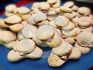 Christmas holiday cookies biscuits sweet sugary plate of white pastry